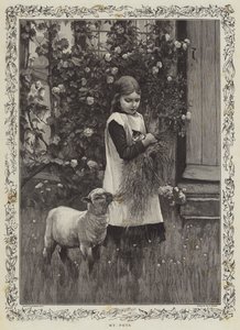 Mine kjæledyr